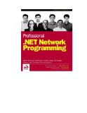 Professional .NET Network Programming