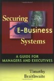 Securing E-Business Systems: A Guide for Managers and Executives