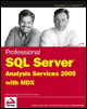 professional sql server analysis services 2005 with mdx
