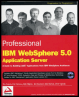professonal ibm websphere 5.0 application server