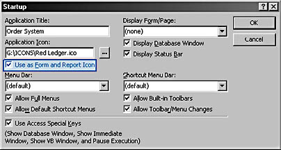 figure 1-7. you can specify that the application icon should also be used for forms and reports displayed on the taskbar.