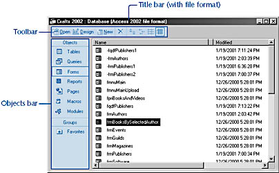 figure 2-2. the access database window allows you to select the types of data objects you want to view.