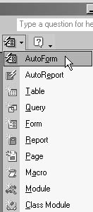 figure 5-30.you can select autoform from the new object selector’s drop-down list to have access create a simple data-entry form for the selected table.
