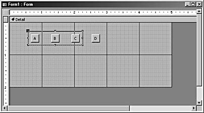 figure 8-22.access displays a border around grouped controls.