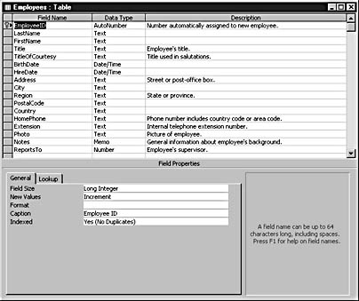 figure 9-39. the employees table in design view.