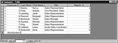 figure 9-40. after you delete the lookup field, the reportsto field identifies the employee's manager by employeeid instead of by name.