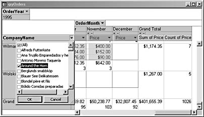 figure 12-13. you can select a specific company name to filter pivottable data for just that company.