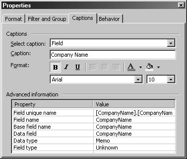 figure 12-15. you can modify a pivottable’s captions on the captions tab of the pivottable properties sheet.