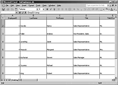 figure 17-9. an excel worksheet created from an access form has little resemblance to the original form.