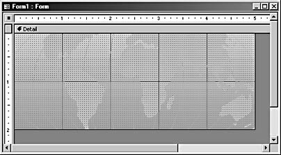figure 21-16. a form shows the globe background image.