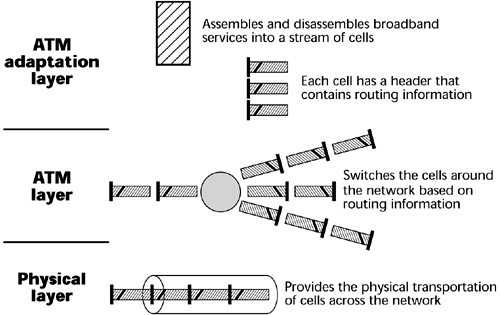 graphics/07fig19.gif