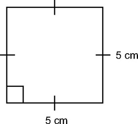 Image result for square perimeter and area