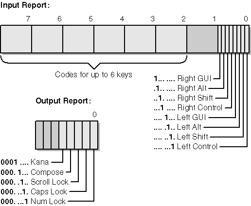 figure 13-2 layout of keyboard input and output reports.
