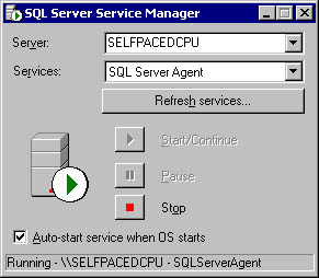 figure 3.6 - the sql server service manager dialog box. 