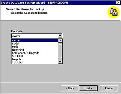  figure 9.3 - selecting a database to back up. 