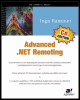 advanced .net remoting (c# edition)