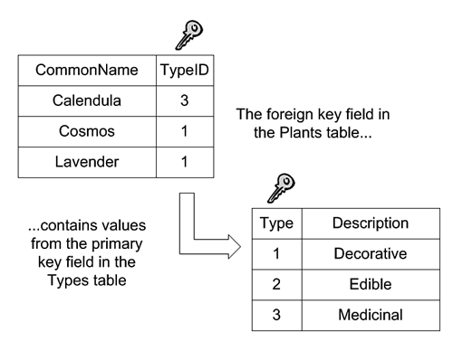 graphics/04fig05.gif