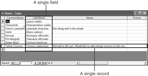 graphics/05fig01.gif