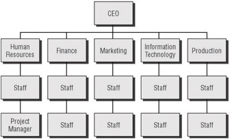 Organizational Structure Impacts | IT Project+ Study Guide, 2nd Edition ...