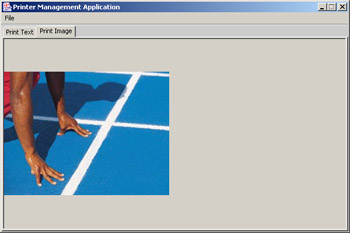 click to expand: this figure shows a sample image in the print image tabbed pane of the printer management application window.