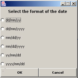 this figure shows the various date formats from which an end user can select the required format.
