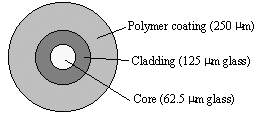 graphics/11fig03.gif