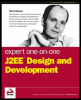 expert one-on-one j2ee design and development