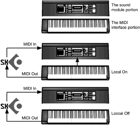 graphic/01fig02.gif