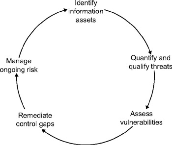 IT Risk Management Life Cycle | It Auditing: Using Controls to Protect