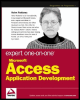expert one-on-one: microsoft access application development
