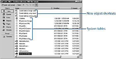 figure 2-23. this database window has all the show options selected.