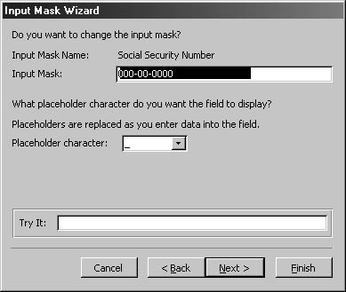 figure 4-19. select a placeholder character for the input mask.