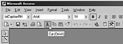 figure 13-37.the cut button’s screentip includes a shortcut key.