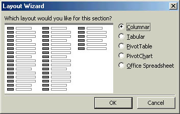 figure 18-6. you can also create a data access page using the layout wizard.