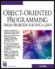 object-oriented programming: from problem solving to java