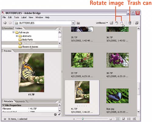 Task 7 How to Browse Files in Bridge | How To Use Adobe Photoshop CS2