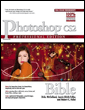 photoshop cs2 bible, professional edition