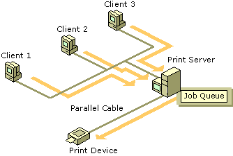 figure 4.4 remote, directly attached print device