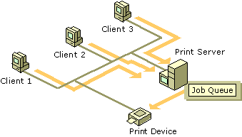 figure 4.5 remote, networked print device