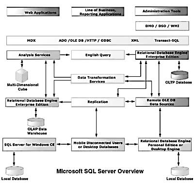 figure 1.1-the components of sql server 2000.