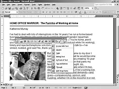 figure 14-19. choose from a list of text wrap styles to position your picture and text together the way you want them.