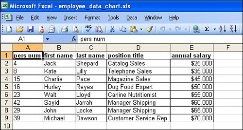 Salary Chart In Excel