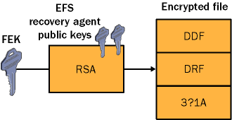 figure 7-5 encrypting the fek of a file using the efs recovery agent s public key