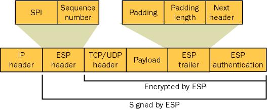 figure 9-4 esp modifications to an ip packet