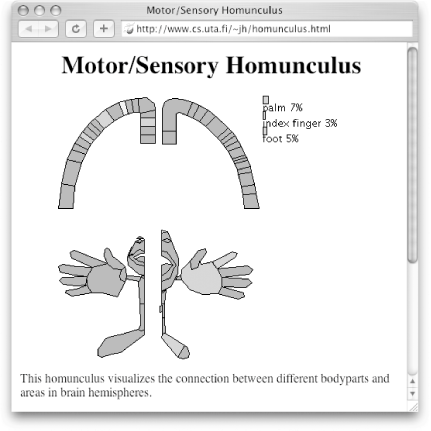 primary somatosensory cortex homunculus