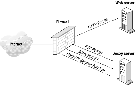 figure 13-1 using a decoy to detect intrusion