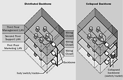 graphic b-1. two types of backbone: distributed and collapsed.