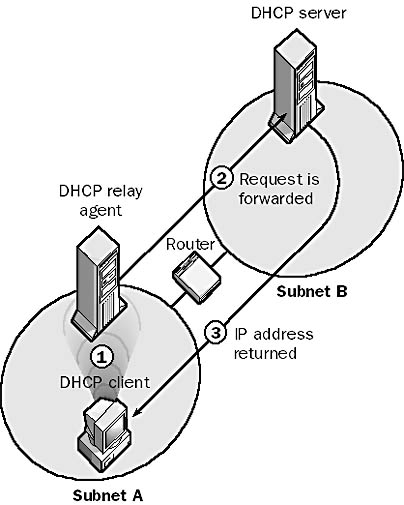 graphic d-19. dhcp relay agent.