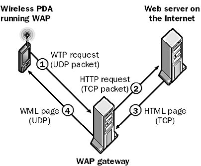 graphic w-13. wireless application protocol (wap).