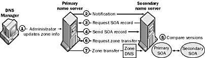 graphic z-2. zone transfer in standard dns on windows nt.